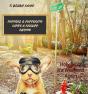 Puppers & Pupperito - Life'S A Rrruff Rhyme - Preview