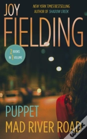 Capa do artigo Puppet/Mad River Road