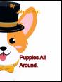 Puppies All Around. - Preview