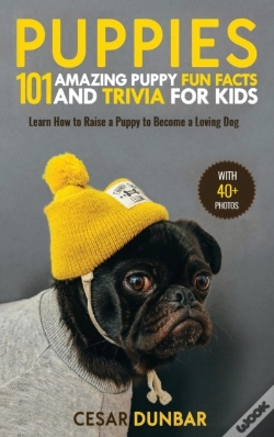 Capa do artigo Puppies