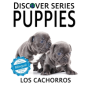 Puppies / Los Cachorros - Preview
