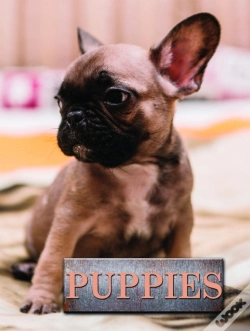 Capa do artigo Puppies