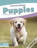 Puppies