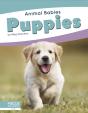 Puppies - Preview