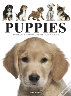 Capa do artigo Puppies