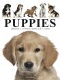 Puppies - Preview