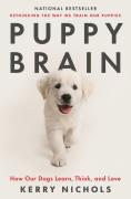 Puppy Brain: How Our Dogs Learn, Think, And Love