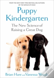 Capa do artigo Puppy Kindergarten