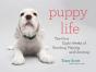 Puppy Life - Preview
