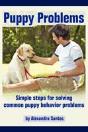 Puppy Problems - Preview