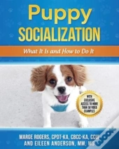 Puppy Socialization
