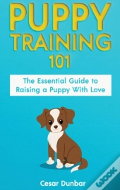 Puppy Training 101