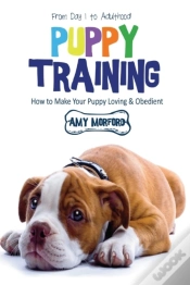 Capa do artigo Puppy Training