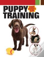 Puppy Training