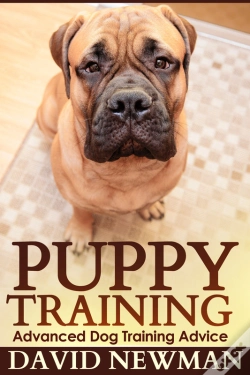 Capa do artigo Puppy Training