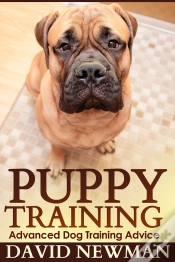 Capa do artigo Puppy Training