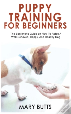 Capa do artigo Puppy Training For Beginners