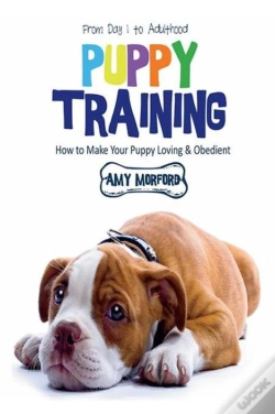 Capa do artigo Puppy Training: From Day 1 To Adulthood
