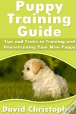 Capa do artigo Puppy Training Guide: Tips And Tricks To Training And Housetraining Your New Puppy