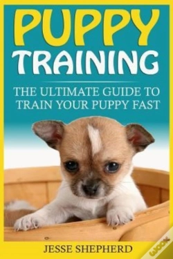 Capa do artigo Puppy Training