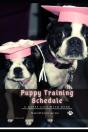 Puppy Training Schedule - Preview