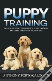 Capa do artigo Puppy Training: Train Your Puppy In Obed