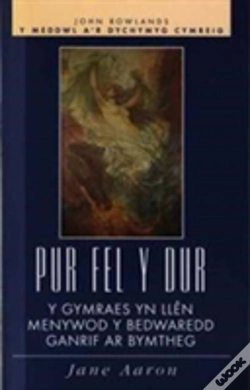 Capa do artigo Pur Fel Y Dur