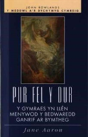 Pur Fel Y Dur - Preview