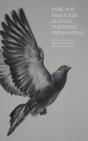 Pure And Faultless Elation Emerging From Hiding - Preview