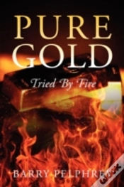 Capa do artigo Pure Gold