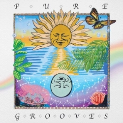 Capa do artigo Pure Grooves Vol. 1 - Vinil