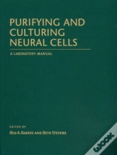 Purifying And Culturing Neural Cells
