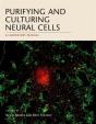 Purifying And Culturing Neural Cells - Preview