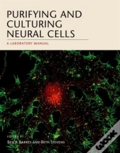 Purifying And Culturing Neural Cells