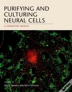 Capa do artigo Purifying And Culturing Neural Cells