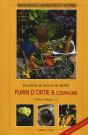 Purin D'Orties & Compagnie ; Les Plantes Aux Secours Des Plantes - Preview