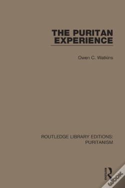 Capa do artigo Puritan Experience
