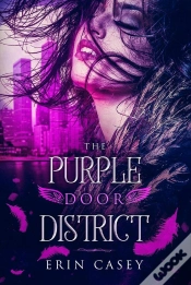 Capa do artigo Purple Door District