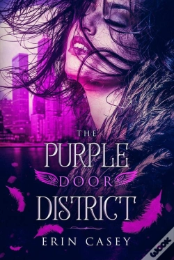 Capa do artigo Purple Door District