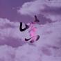 Purple Rarities - Vinil - Preview