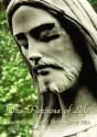 Purpose Of Life - Preview