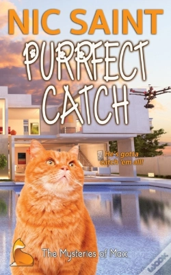 Capa do artigo Purrfect Catch