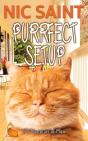 Purrfect Setup - Preview