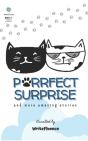 Purrfect Surprise - Preview
