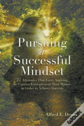 Pursuing A Successful Mindset