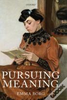 Pursuing Meaning
