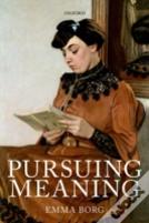 Pursuing Meaning