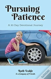 Capa do artigo Pursuing Patience