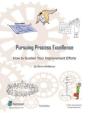 Pursuing Process Excellence - Preview