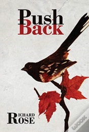 Capa do artigo Pushback